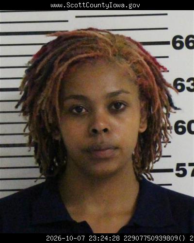 Booking photo — Alexis Lee Pippins Nelson
